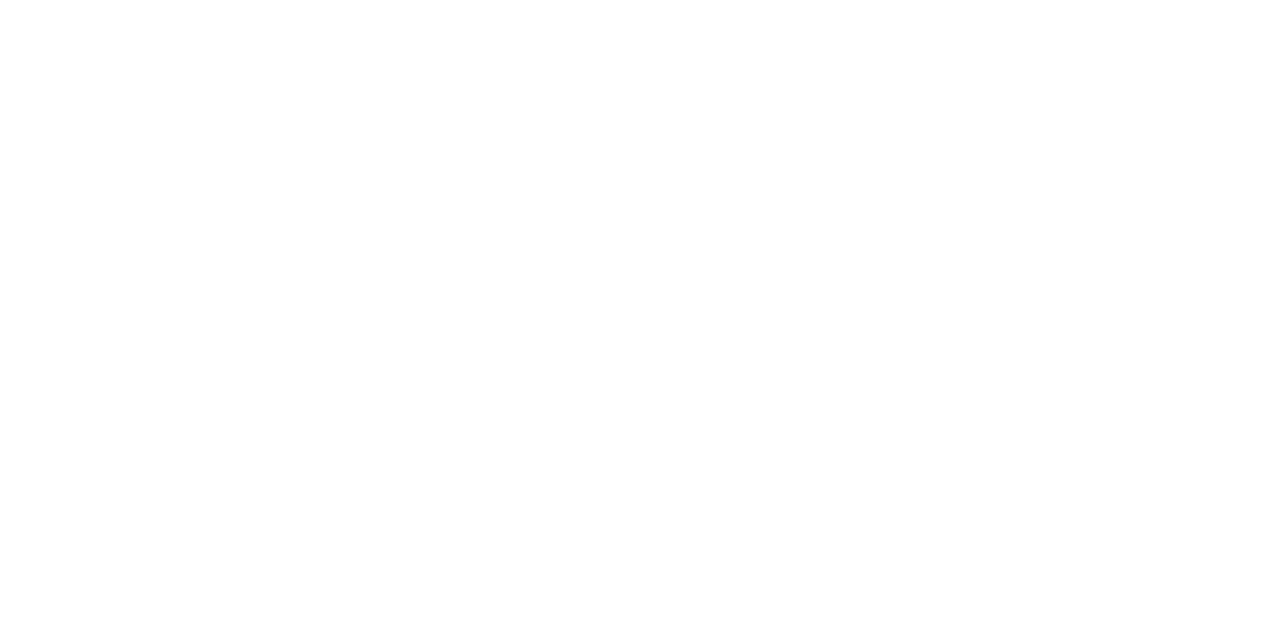 Surveillance Smart Solutions
